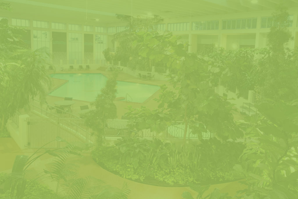 Oasis Hotel & Convention Center