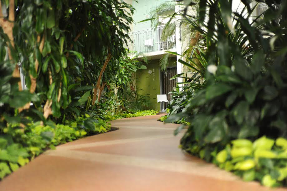 Oasis Hotel & Convention Center