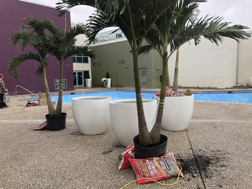 Oasis Hotel & Convention Center